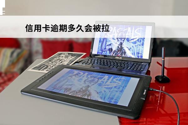 信用卡逾期多久会被拉黑
(2021年信用卡逾期多少钱会坐牢)