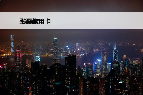张磊信用卡
 张磊经历