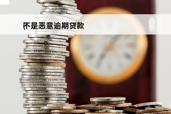 不是恶意逾期贷款
(