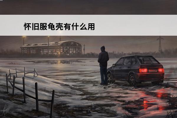 怀旧服龟壳有什么用 