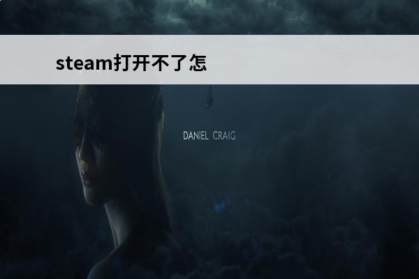 steam打开不了怎