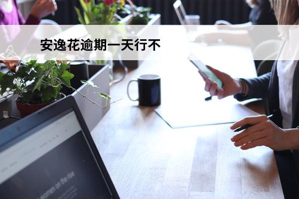 安逸花逾期一天行不
