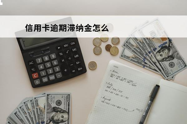 信用卡逾期滞纳金怎么