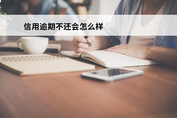 信用逾期不还会怎么样