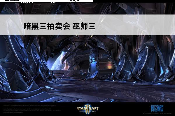 暗黑三拍卖会 巫师三拍卖会值得购买的东西