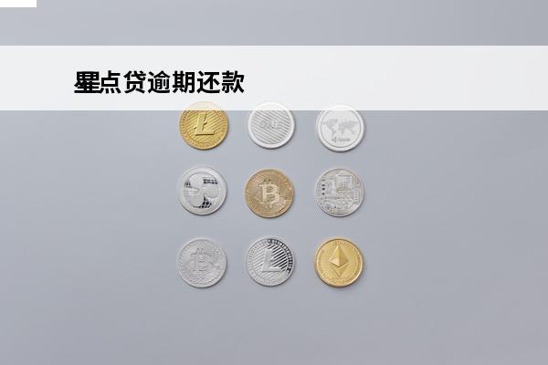 星点贷逾期还款
 星