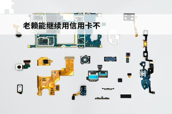 老赖能继续用信用卡不
 老赖已有的信用卡会不会停