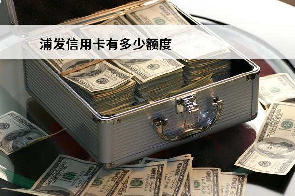 浦发信用卡有多少额度
 浦发信用卡有多少额度的