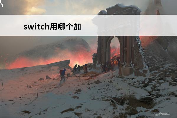 switch用哪个加