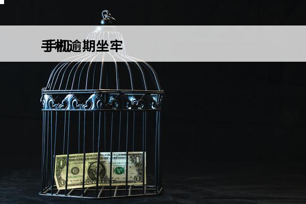 手机逾期坐牢
 手机逾期可以贷款吗