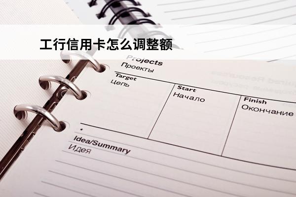 工行信用卡怎么调整额度
(工行信用卡怎么调整额度方式)