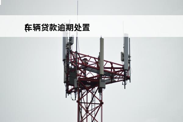 车辆贷款逾期处置
(车辆逾期贷款怎么办)