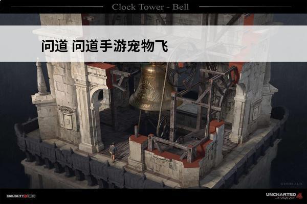 问道 问道手游宠物飞升找谁接任务？(梦幻手游剧情任务找谁接)
