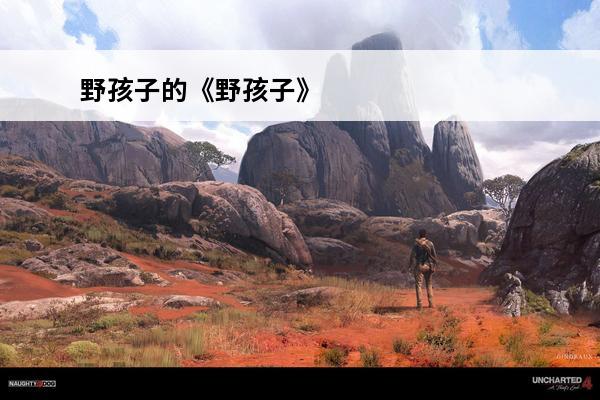 野孩子的《野孩子》 歌词？(野孩子歌词)