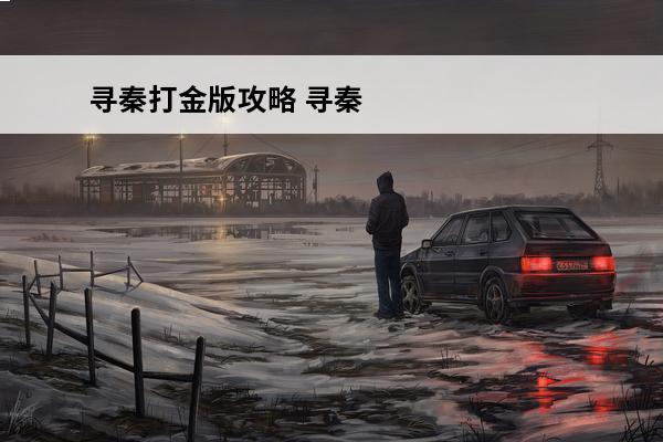 寻秦打金版攻略 寻秦真打金版 上古神器多的怎么办？