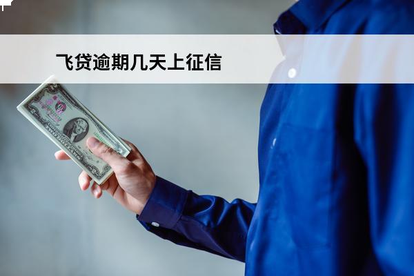飞贷逾期几天上征信
(飞贷款逾期几天没事吧)