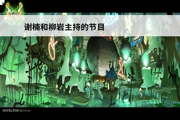 谢楠和柳岩主持的节目