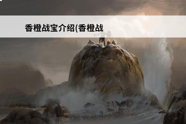 香橙战宝介绍(香橙战