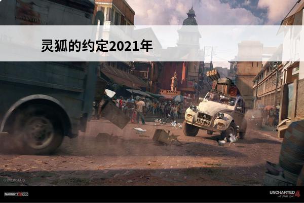 灵狐的约定2021年