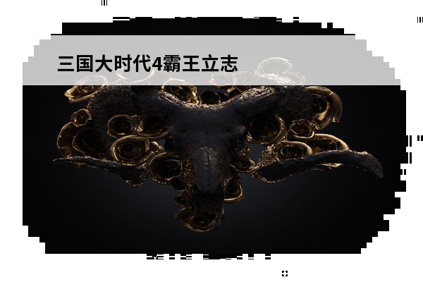 三国大时代4霸王立志