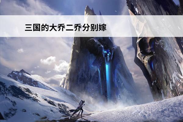 三国的大乔二乔分别嫁