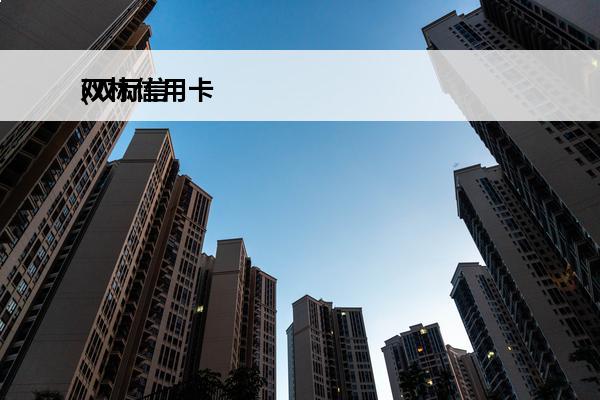 双标信用卡
(双标信
