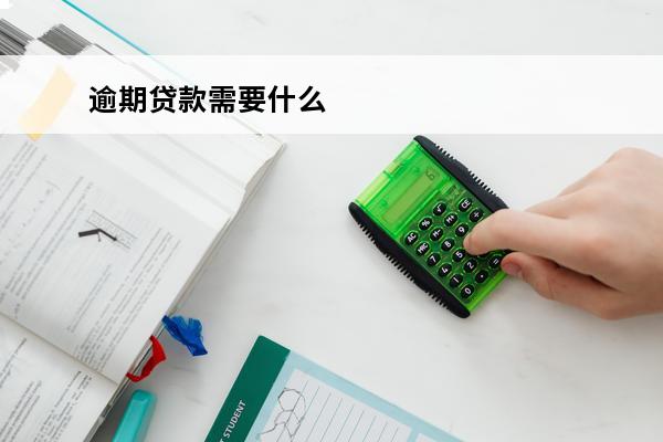 逾期贷款需要什么
 