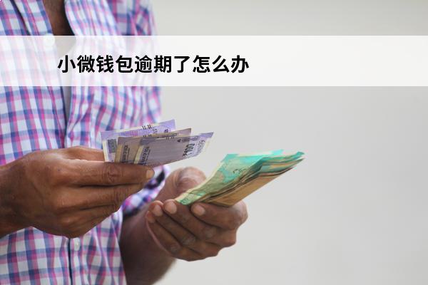 小微钱包逾期了怎么办