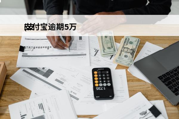 支付宝逾期5万
(支
