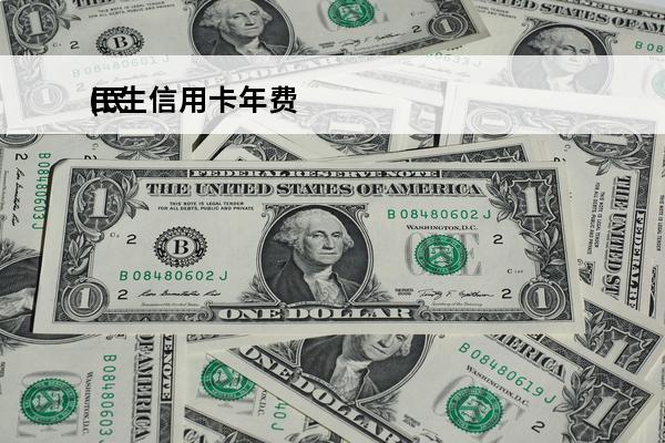 民生信用卡年费
(民