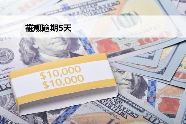 花呗逾期5天
 花呗