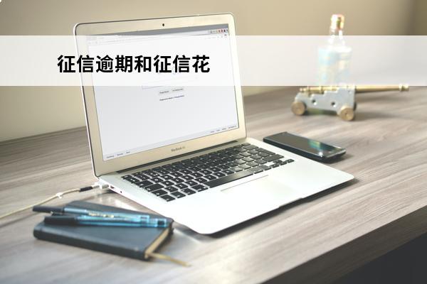 征信逾期和征信花
 