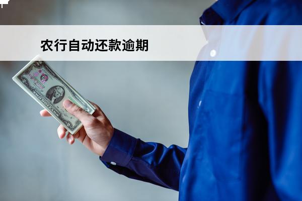 农行自动还款逾期
 