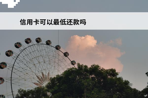 信用卡可以最低还款吗