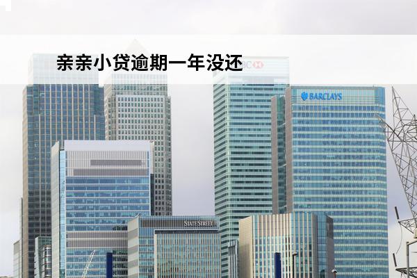 亲亲小贷逾期一年没还