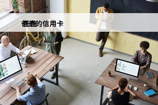 爸爸的信用卡
 爸爸