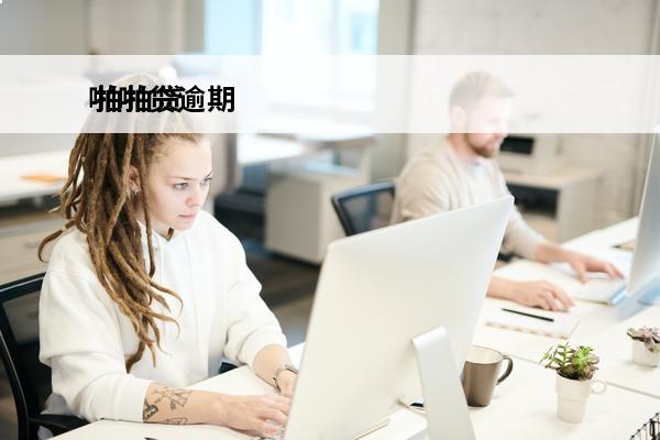 啪啪贷逾期
 拍拍贷