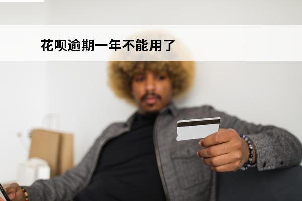 花呗逾期一年不能用了