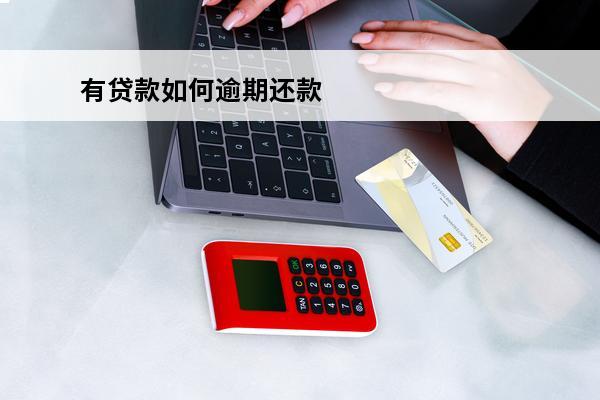 有贷款如何逾期还款
