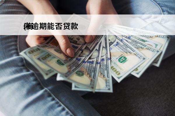 未逾期能否贷款
(有