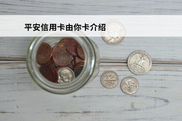 平安信用卡由你卡介绍
