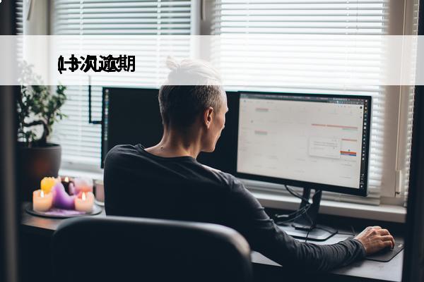 13次逾期
(十几次