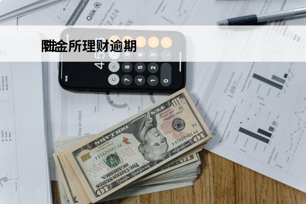 陆金所理财逾期
 陆