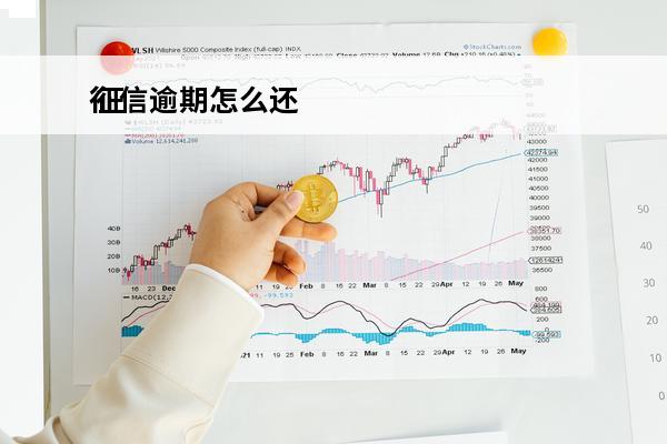 征信逾期怎么还
 征