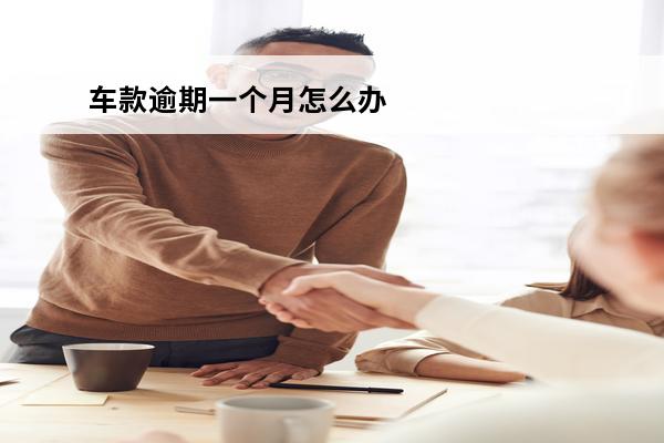 车款逾期一个月怎么办