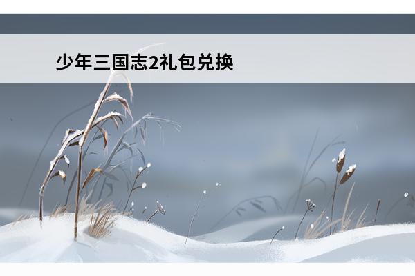 少年三国志2礼包兑换