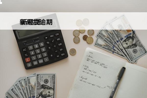 新易贷逾期
 新易贷