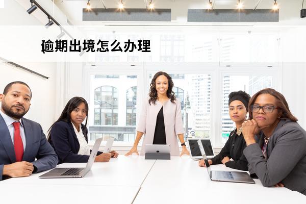逾期出境怎么办理
(