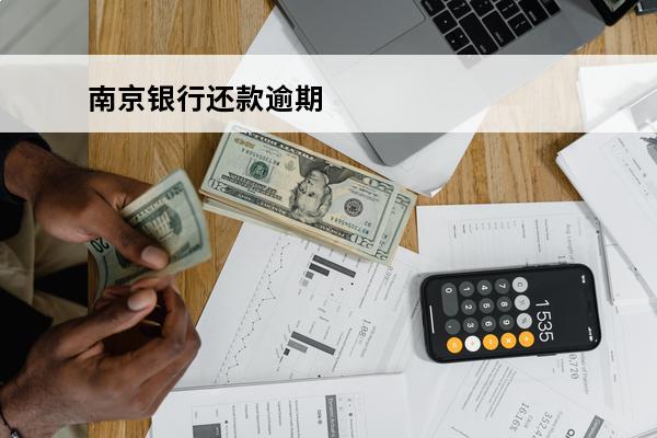南京银行还款逾期
 