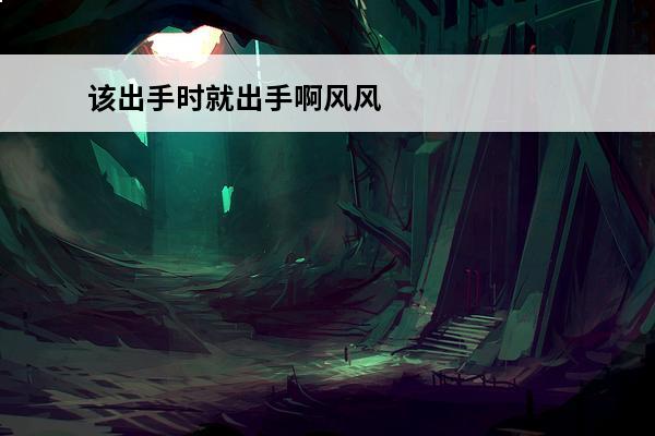 该出手时就出手啊风风
